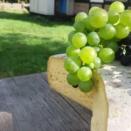 Kukowka * Stężyca